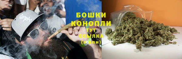 твердый Инсар