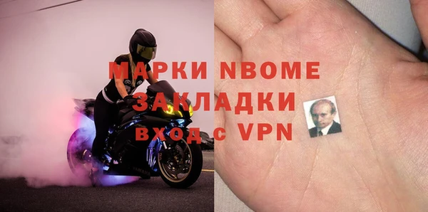 твердый Инсар