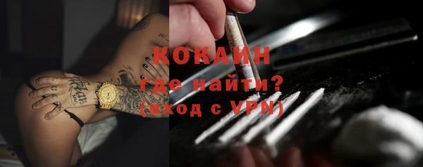 твердый Инсар