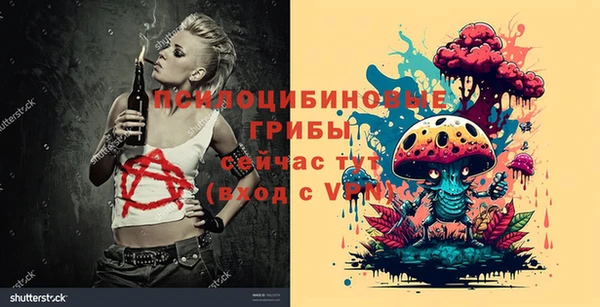 твердый Инсар