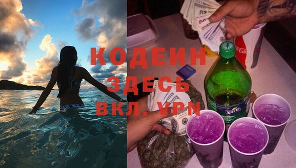 твердый Инсар