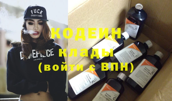 твердый Инсар
